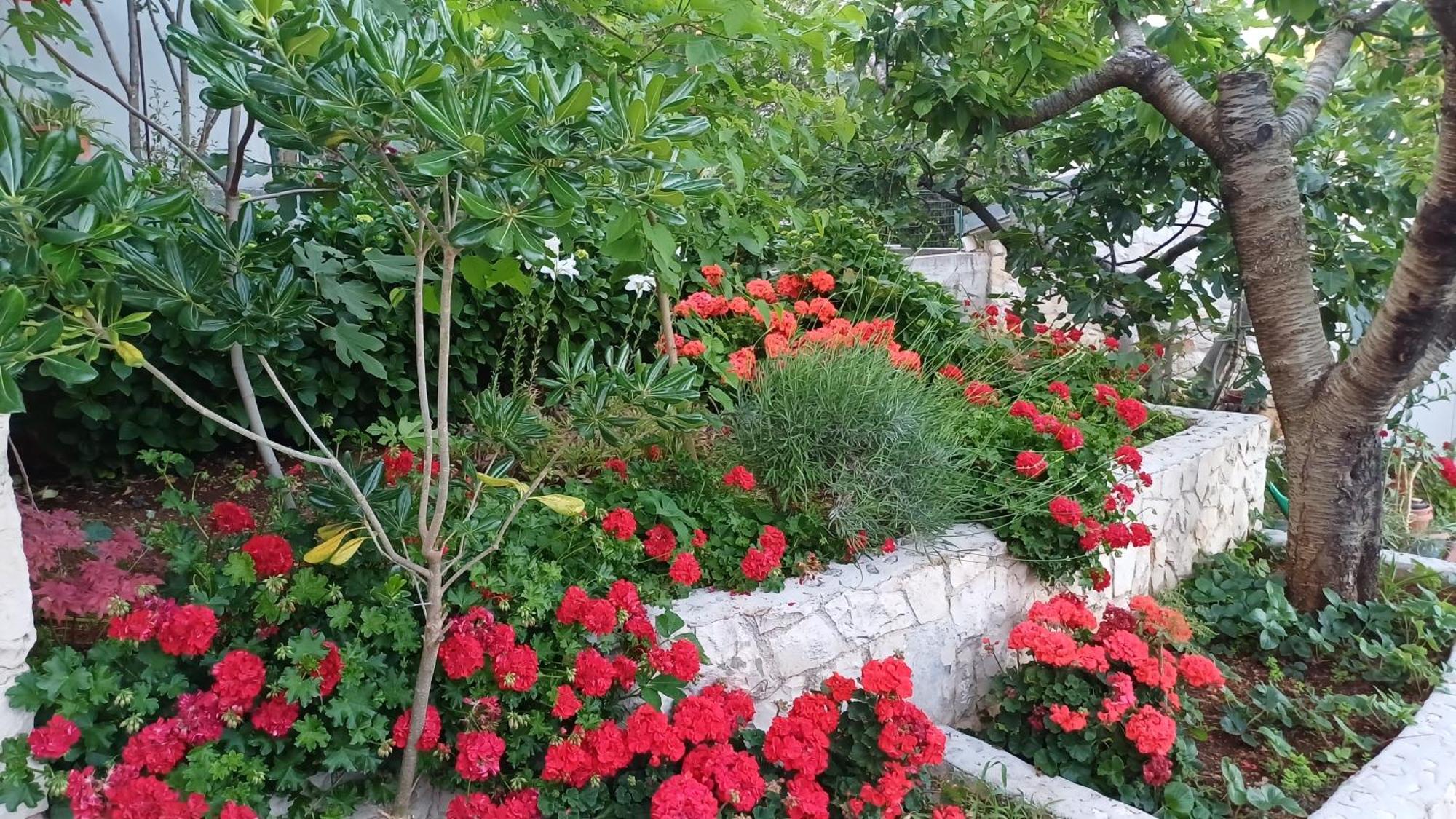 Apartments Jaksic Trogir Exterior foto